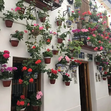 La Puerta De La Axerquia Parking Y Wifi Gratis Apartment Cordoba Exterior photo
