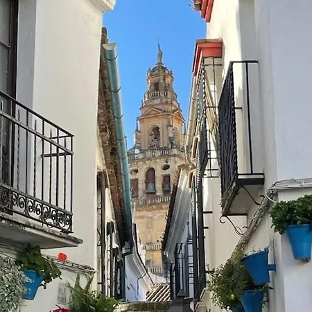 La Puerta De La Axerquia Parking Y Wifi Gratis Apartment Cordoba Exterior photo
