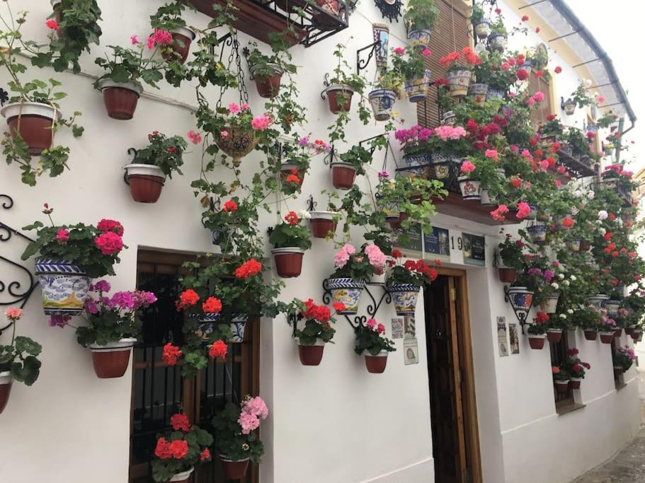 Apartment La Puerta De La Axerquia Parking Y Wifi Gratis